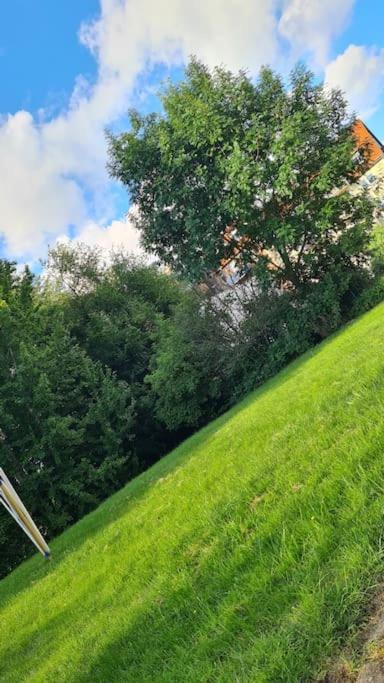 Wilhelmshoehe Alle Kassel Zewnętrze zdjęcie